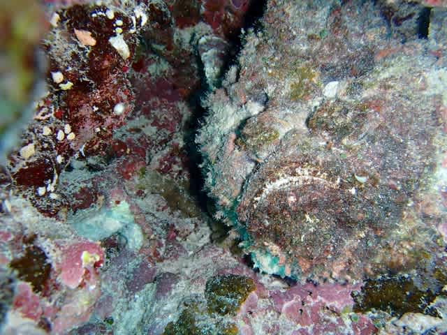 P9190022_640x480 P9190022_640x480