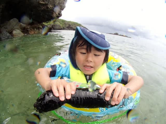 P8145255_640x479 P8145255_640x479