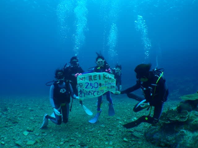 P4240009_2 P4240009_2