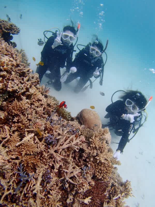 P6260018_599x800 P6260018_599x800