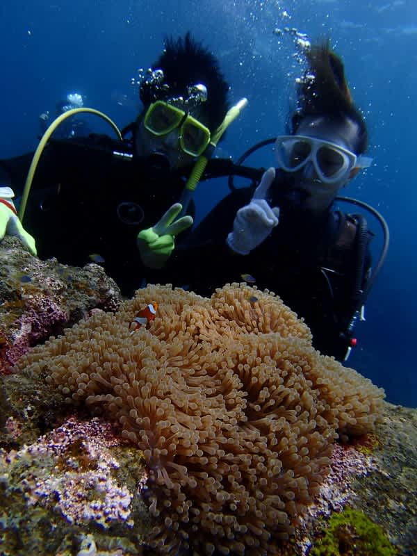 P6280010_600x800 P6280010_600x800