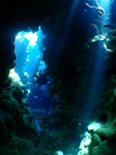 P7150016_2 P7150016_2