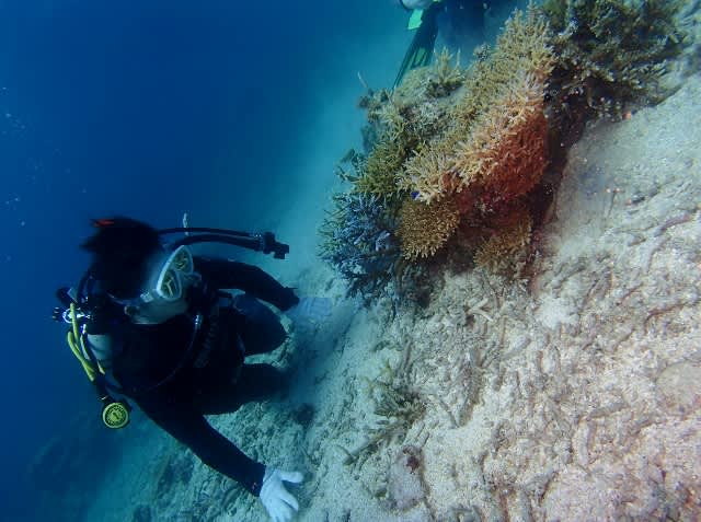 P9150041_640x477 P9150041_640x477