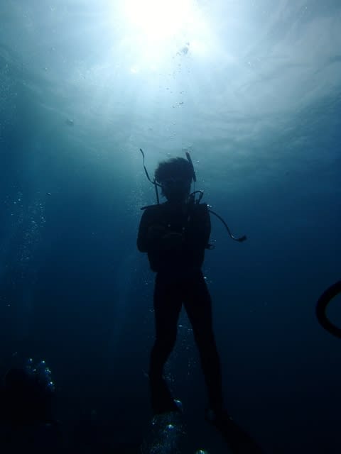 P8170044_480x640 P8170044_480x640