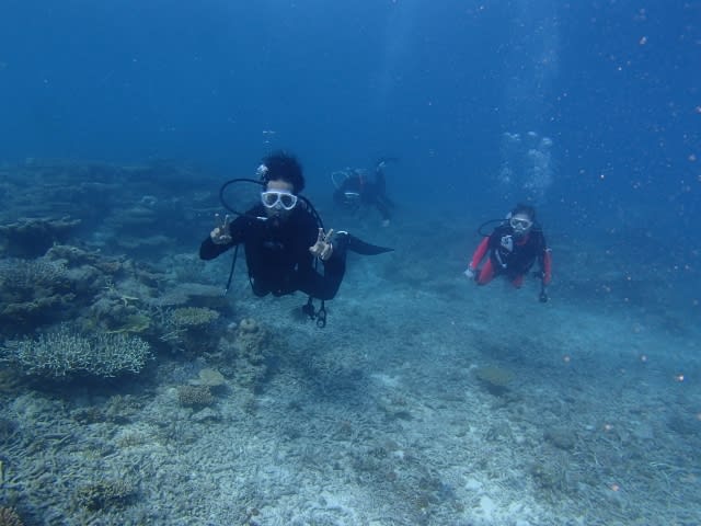 P9060001_640x480_640x480 P9060001_640x480_640x480