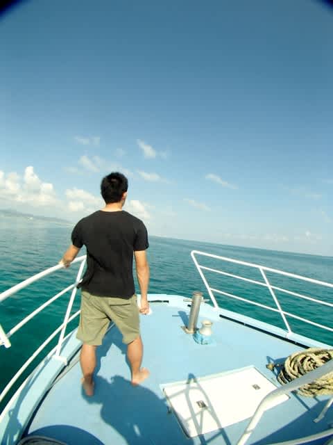 P9280031_480x640 P9280031_480x640