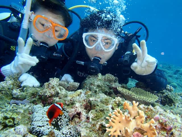 P4190014_640x480 P4190014_640x480