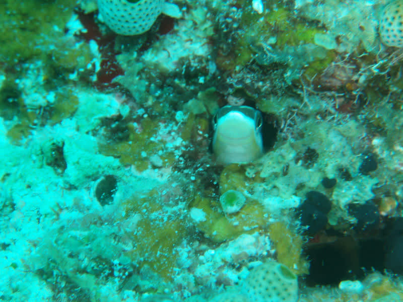 P9240045_2 P9240045_2