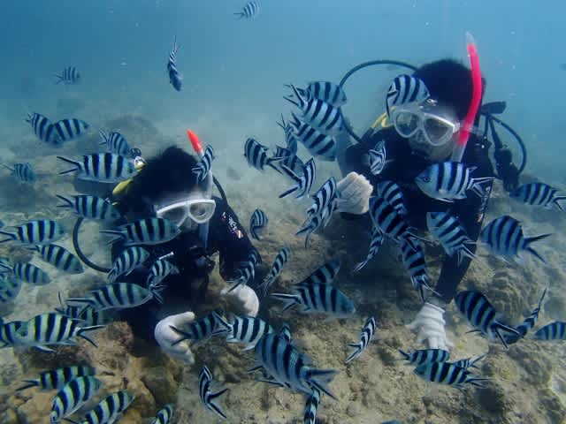 Pa080022_640x480 Pa080022_640x480