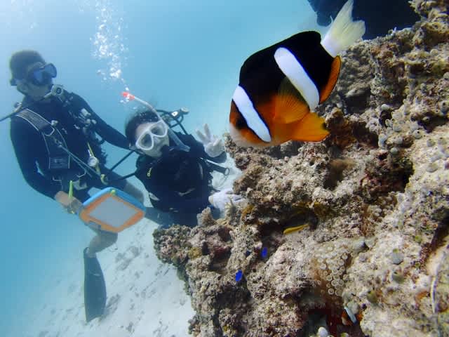 P7170031_640x480 P7170031_640x480