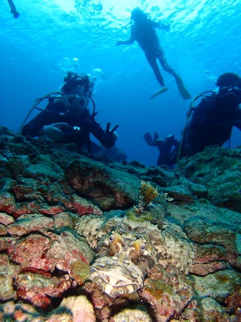 P9290023_480x640 P9290023_480x640