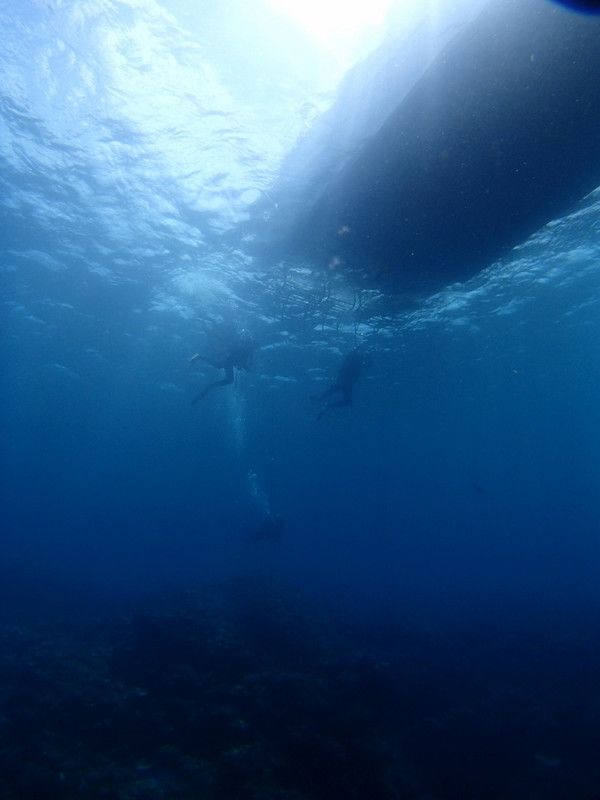 P5300070_1024x768 P5300070_1024x768