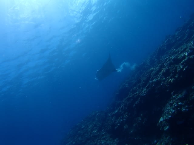 P6302310_640x480_2 P6302310_640x480_2