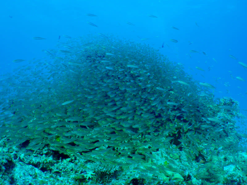 P1010002_2 P1010002_2