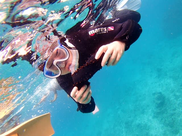 P8155274_640x480 P8155274_640x480