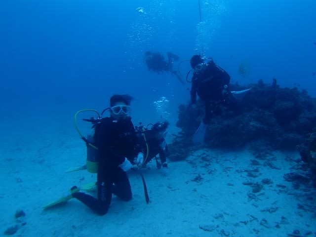 Pa210033_640x480 Pa210033_640x480