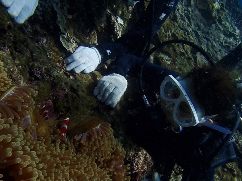 P6232059_800x600 P6232059_800x600