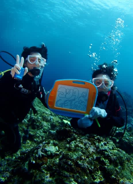 P9080046_463x640 P9080046_463x640