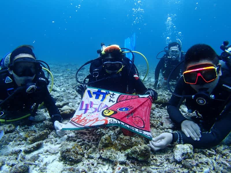 P6240041_800x600 P6240041_800x600