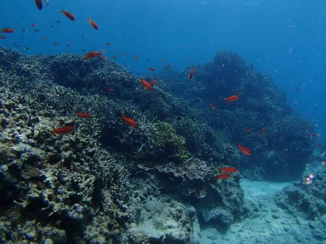 P9080012_640x480 P9080012_640x480