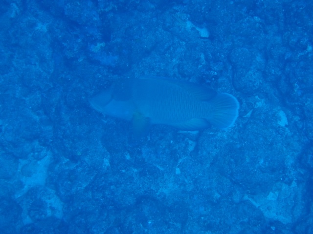 Pa260020_640x480 Pa260020_640x480