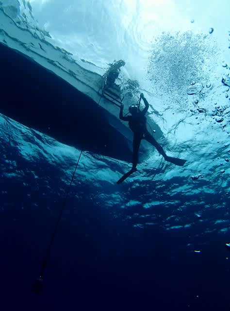 P5250042_640x474 P5250042_640x474