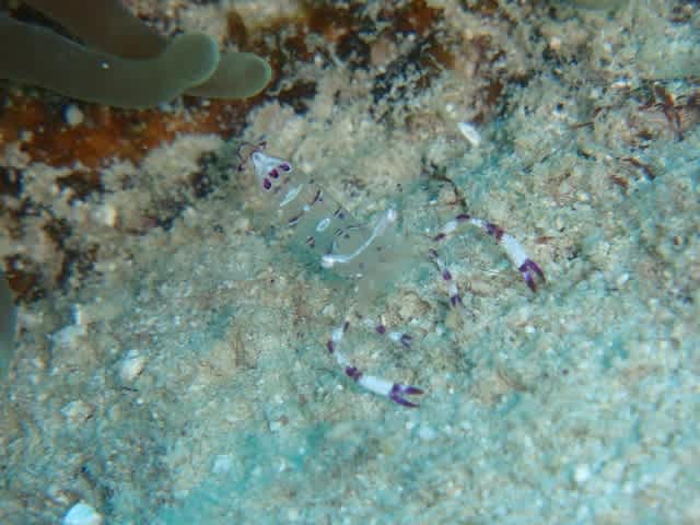 P9240016_640x480 P9240016_640x480