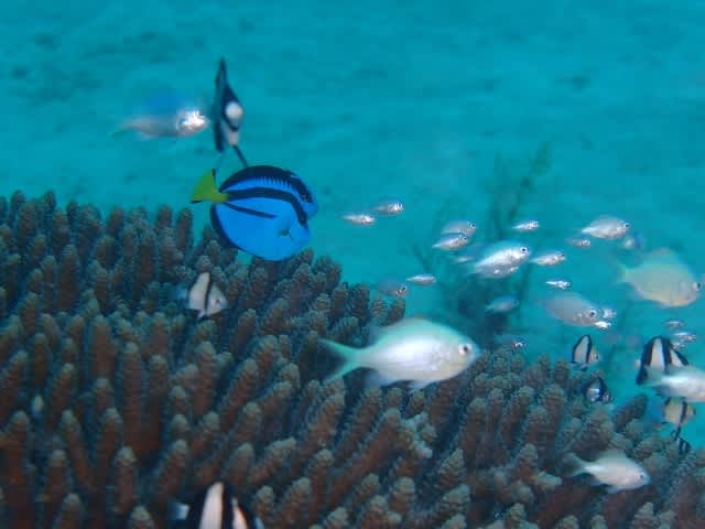 P8150003_640x480 P8150003_640x480