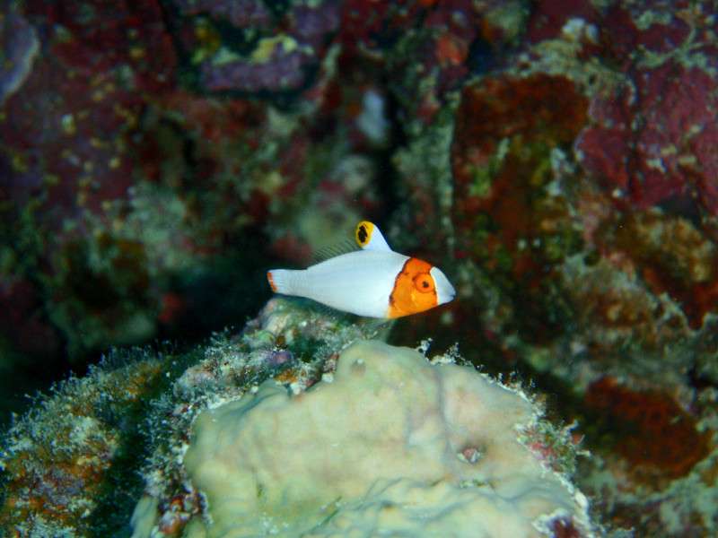 P6040028_4 P6040028_4