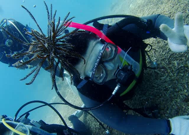 P9150029_640x458 P9150029_640x458