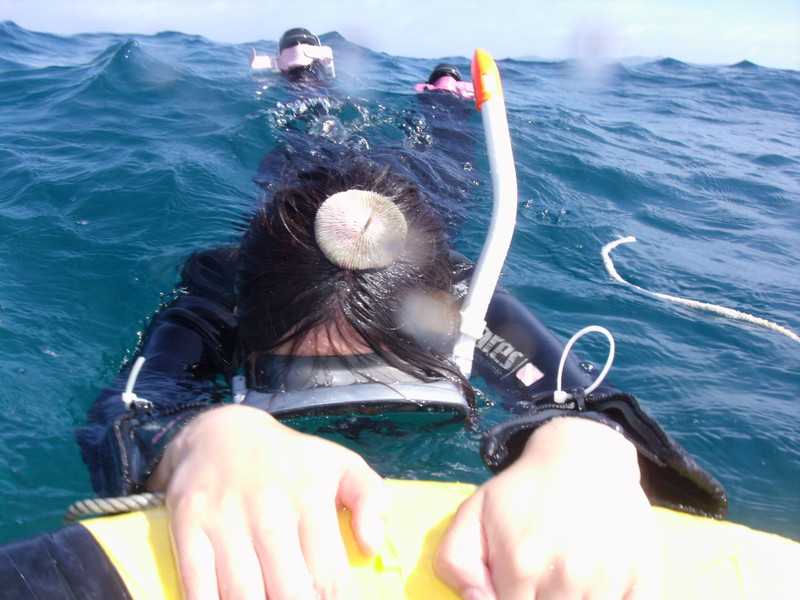 Gedc0006_2 Gedc0006_2