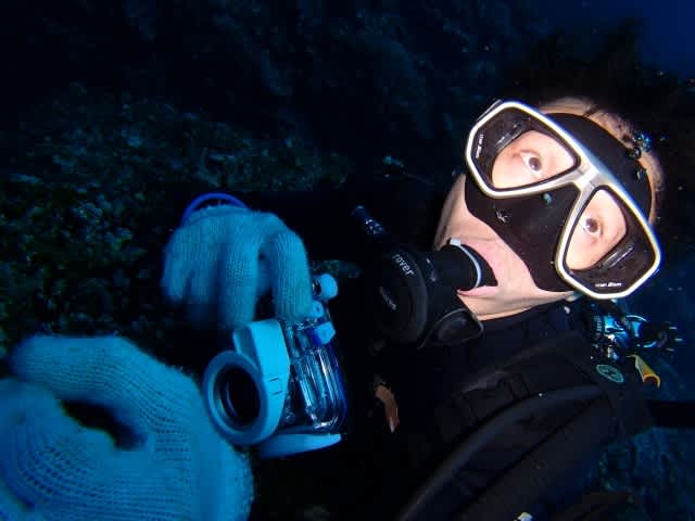 P7193077_640x480 P7193077_640x480