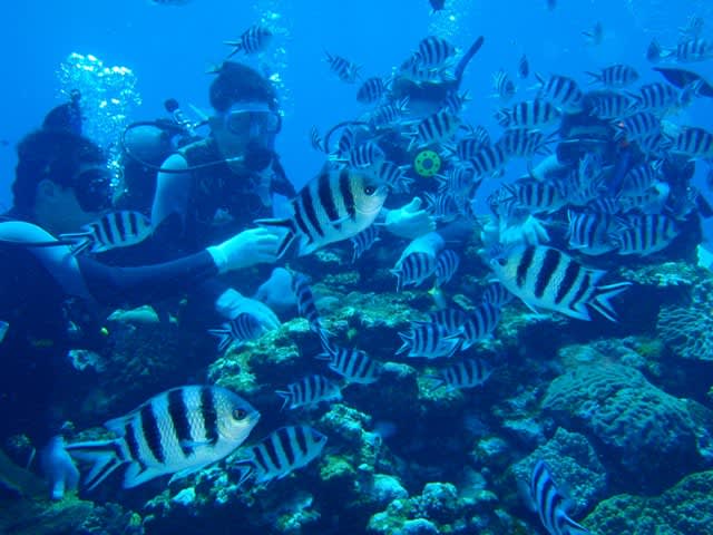 P7120034_2 P7120034_2