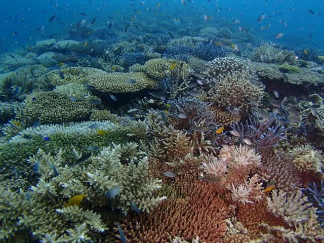 P9130007_640x480_3 P9130007_640x480_3