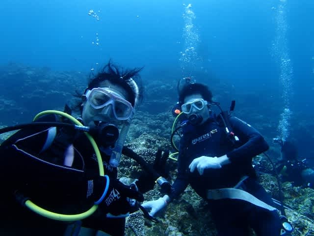 P7160025_640x480 P7160025_640x480