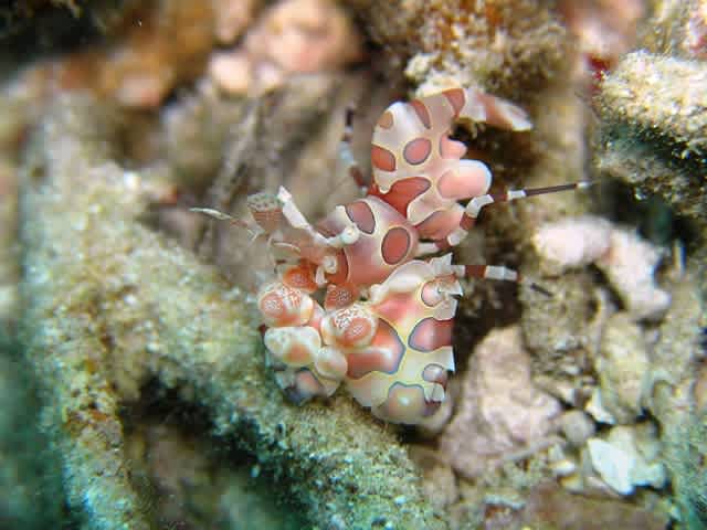 Pc140094_2 Pc140094_2