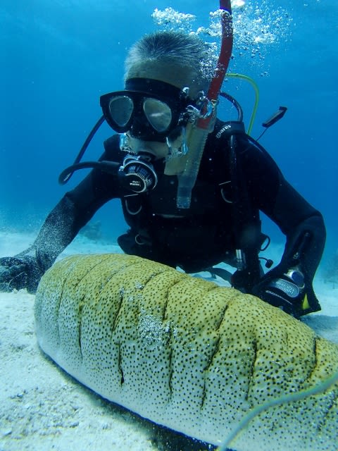 P52700091_480x640 P52700091_480x640