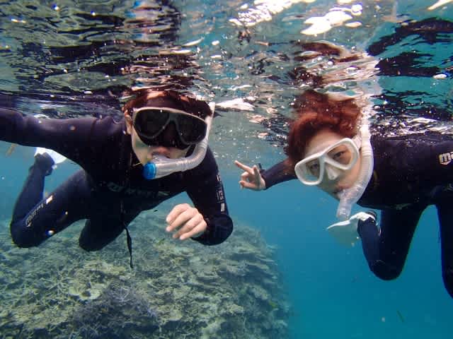 P7190012_640x480 P7190012_640x480