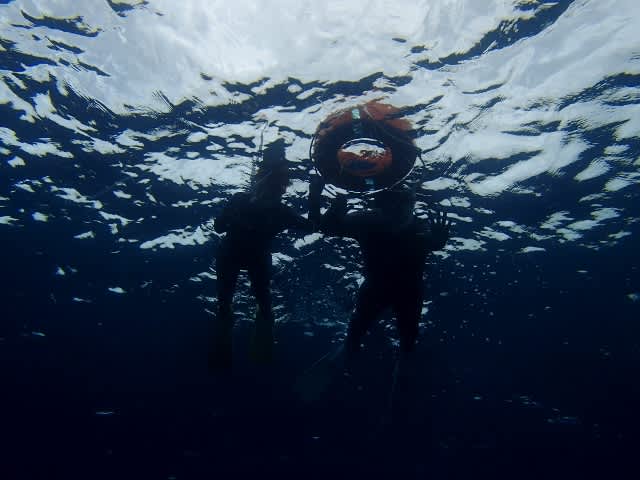 P4190026_640x480 P4190026_640x480