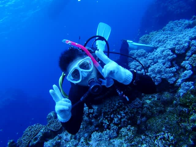 Pa250017_640x480 Pa250017_640x480