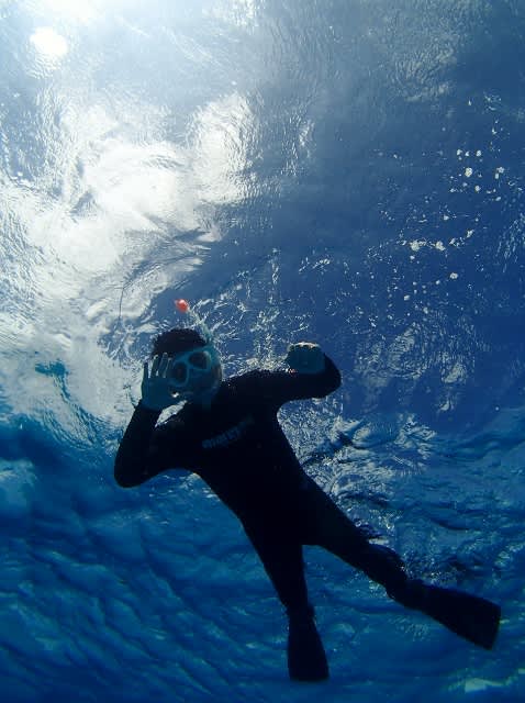 P8180008_478x640 P8180008_478x640