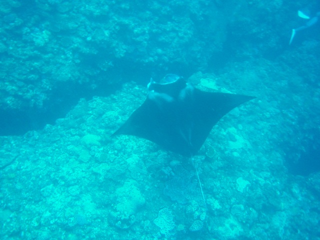 P9160012_2 P9160012_2