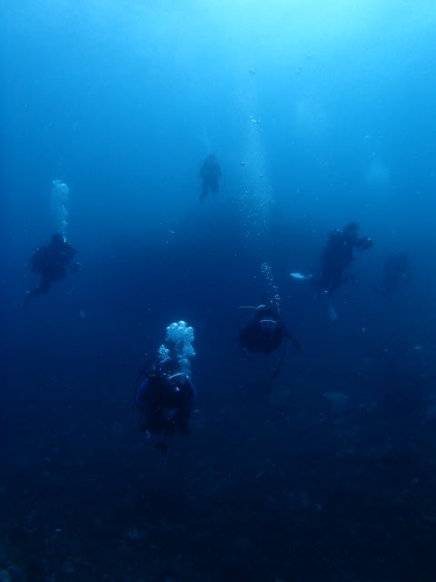 P8130006_640x480 P8130006_640x480