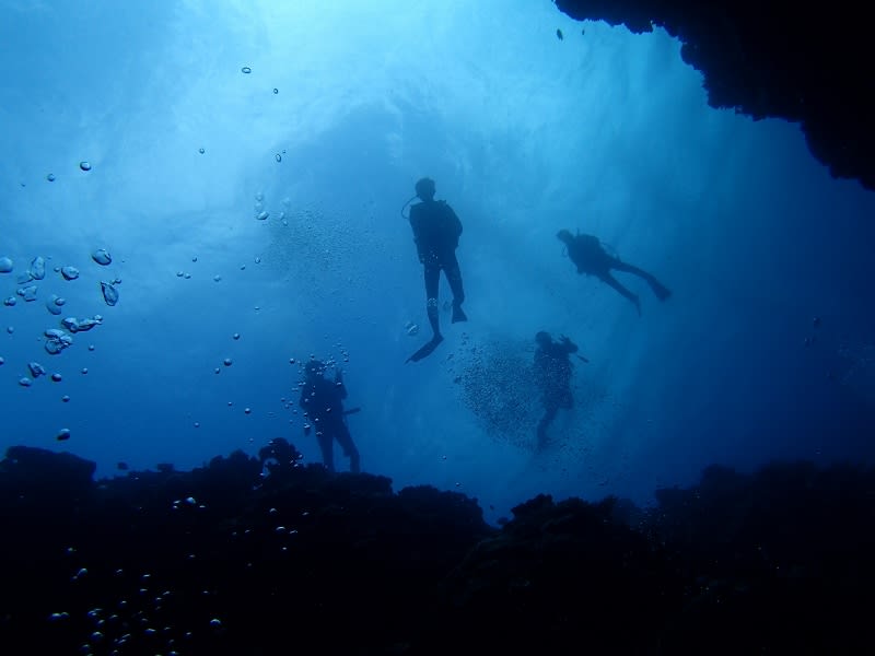 P6230006_800x600 P6230006_800x600