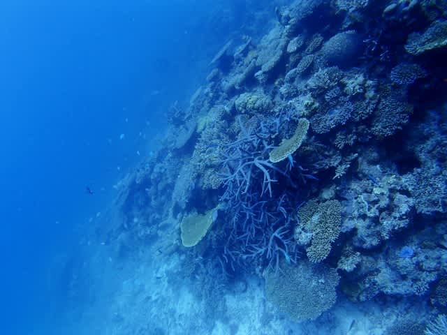 P9150046_640x480 P9150046_640x480