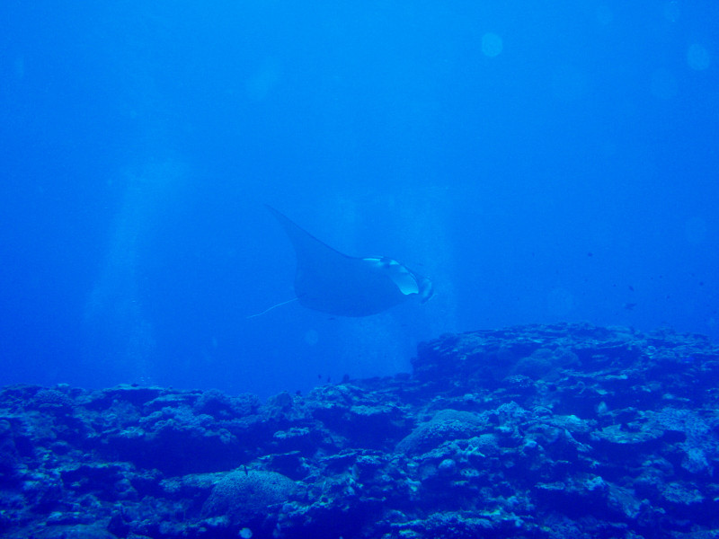 P4120022_2 P4120022_2