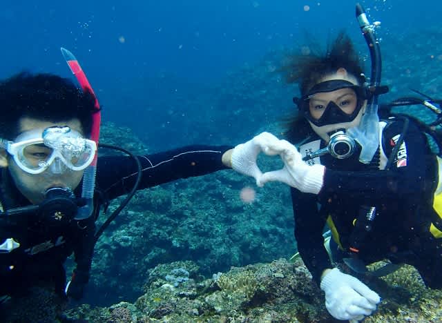 P9050006_640x468 P9050006_640x468