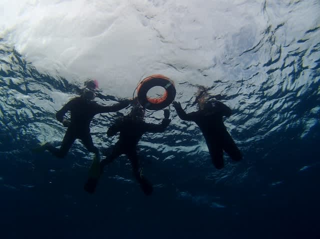 P9200002_640x479 P9200002_640x479