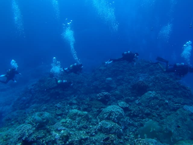 P9250011_640x480 P9250011_640x480