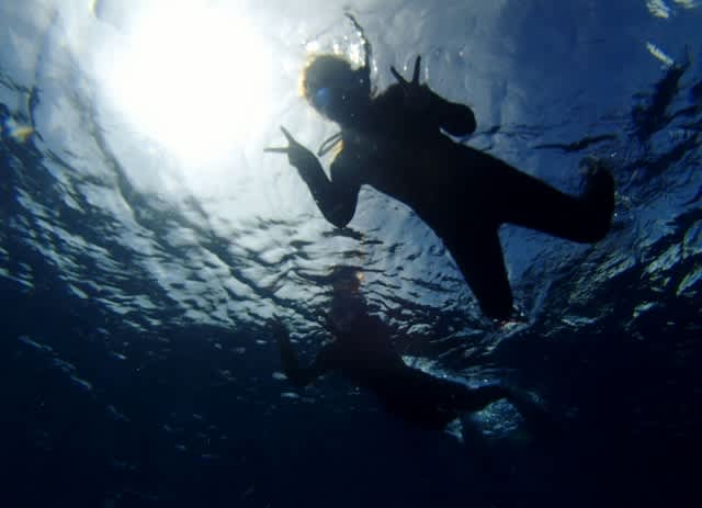 P9180050_640x463 P9180050_640x463